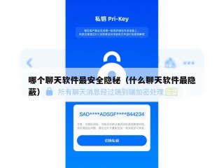 哪个聊天软件最安全隐秘（什么聊天软件最隐蔽）