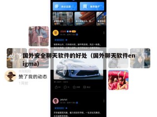 国外安全聊天软件的好处（国外聊天软件enigma）