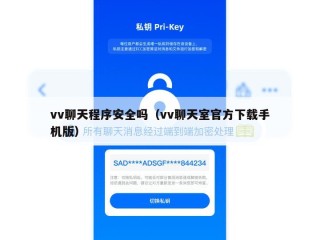 vv聊天程序安全吗（vv聊天室官方下载手机版）