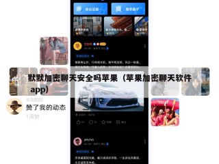默默加密聊天安全吗苹果（苹果加密聊天软件 app）
