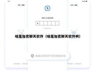 啥是加密聊天软件（啥是加密聊天软件啊）