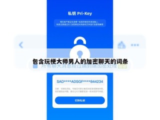 包含玩梗大师男人的加密聊天的词条