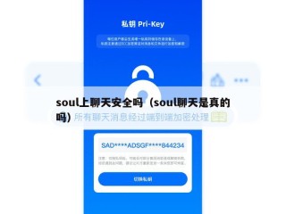 soul上聊天安全吗（soul聊天是真的吗）