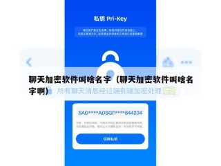 聊天加密软件叫啥名字（聊天加密软件叫啥名字啊）