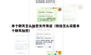 单个聊天怎么加密文件发送（微信怎么设置单个聊天加密）