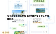 安全浏览器聊天专版（浏览器的安全中心在哪里打开）