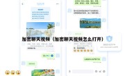 加密聊天视频（加密聊天视频怎么打开）