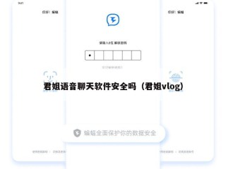 君姐语音聊天软件安全吗（君姐vlog）