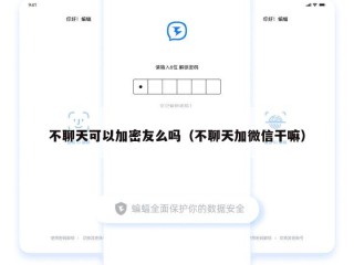 不聊天可以加密友么吗（不聊天加微信干嘛）