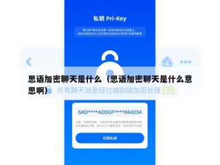 思语加密聊天是什么（思语加密聊天是什么意思啊）