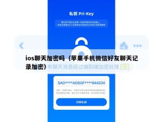 ios聊天加密吗（苹果手机微信好友聊天记录加密）
