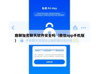 鼎聊加密聊天软件安全吗（鼎信app手机版）