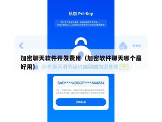 加密聊天软件开发费用（加密软件聊天哪个最好用）