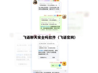 飞语聊天安全吗软件（飞语官网）