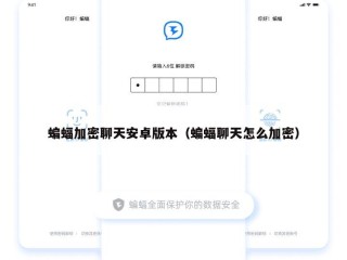 蝙蝠加密聊天安卓版本（蝙蝠聊天怎么加密）
