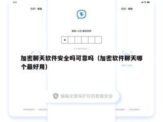 加密聊天软件安全吗可靠吗（加密软件聊天哪个最好用）