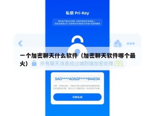 一个加密聊天什么软件（加密聊天软件哪个最火）