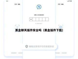 黑盒聊天插件安全吗（黑盒插件下载）