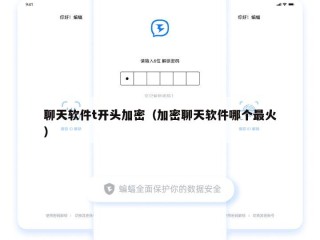 聊天软件t开头加密（加密聊天软件哪个最火）