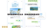 领导加密聊天怎么办（领导把密码告诉你）