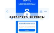刷子聊天软件安全吗（刷子游戏是什么）