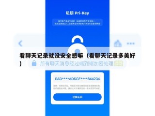看聊天记录就没安全感嘛（看聊天记录多美好）