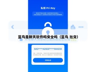 蓝鸟是聊天软件吗安全吗（蓝鸟 社交）