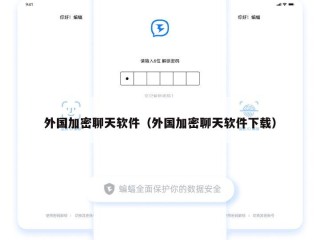外国加密聊天软件（外国加密聊天软件下载）