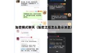 加密模式聊天（加密之后怎么显示消息）