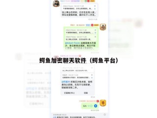 鳄鱼加密聊天软件（鳄鱼平台）