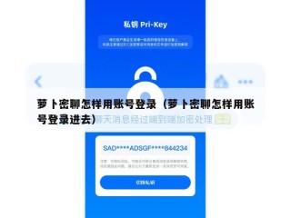萝卜密聊怎样用账号登录（萝卜密聊怎样用账号登录进去）