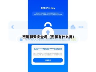 密聊聊天安全吗（密聊有什么用）