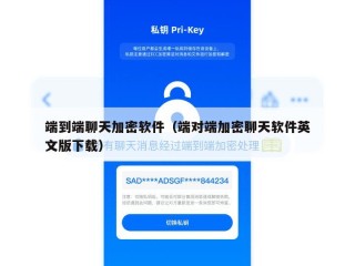端到端聊天加密软件（端对端加密聊天软件英文版下载）