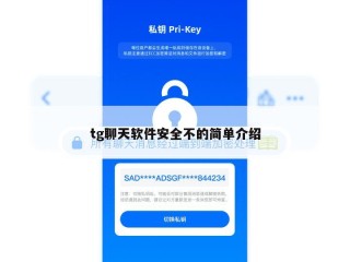 tg聊天软件安全不的简单介绍