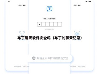布丁聊天软件安全吗（布丁的聊天记录）