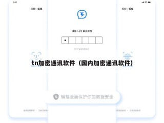 tn加密通讯软件（国内加密通讯软件）