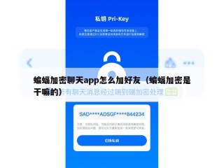 蝙蝠加密聊天app怎么加好友（蝙蝠加密是干嘛的）