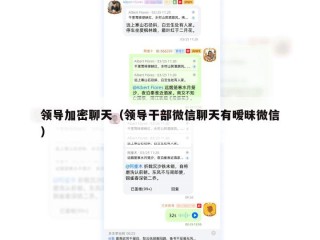 领导加密聊天（领导干部微信聊天有暧昧微信）