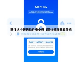 默往这个聊天软件安全吗（默往是聊天软件吗）