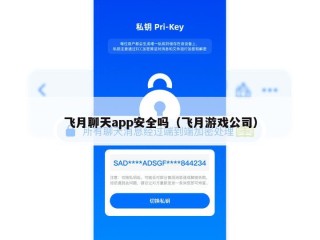 飞月聊天app安全吗（飞月游戏公司）