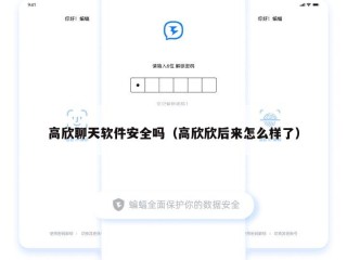 高欣聊天软件安全吗（高欣欣后来怎么样了）