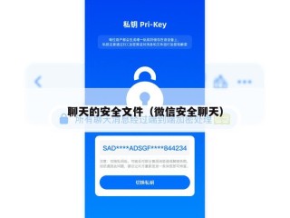 聊天的安全文件（微信安全聊天）