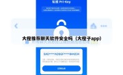 大橙推荐聊天软件安全吗（大橙子app）