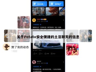 关于Potato安全便捷的土豆聊天的信息