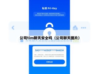 公司tim聊天安全吗（公司聊天图片）
