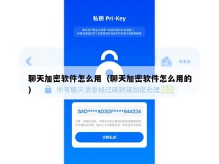 聊天加密软件怎么用（聊天加密软件怎么用的）
