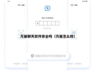 万丽聊天软件安全吗（万丽怎么样）