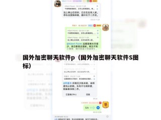 国外加密聊天软件p（国外加密聊天软件S图标）