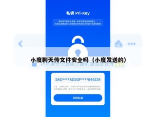 小度聊天传文件安全吗（小度发送的）