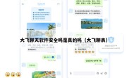 大飞聊天软件安全吗是真的吗（大飞聊表）